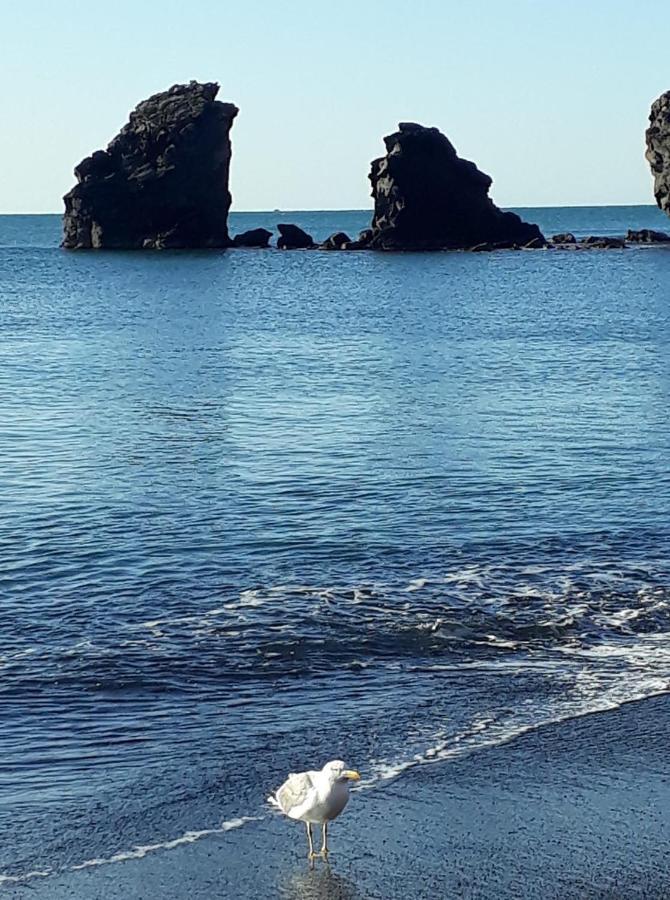 T2 Plage De La Conque Agde Ngoại thất bức ảnh